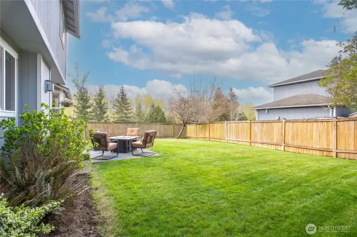 Large fenced backyard