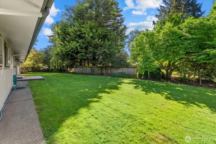 Fully fenced backyard on over a half acre!