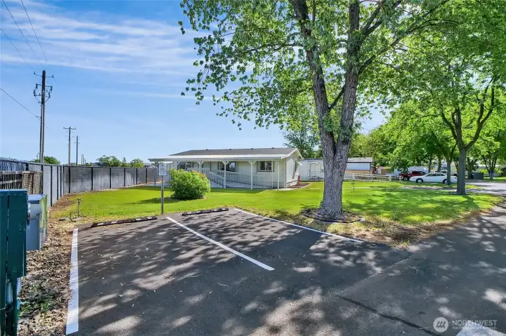 Two extra public parking spaces at the corner of this home, and a couple of large shade trees.