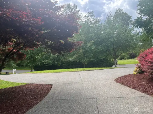 View  of Circular Driveway from inside of the house