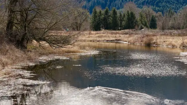 Johnson Pond on property
