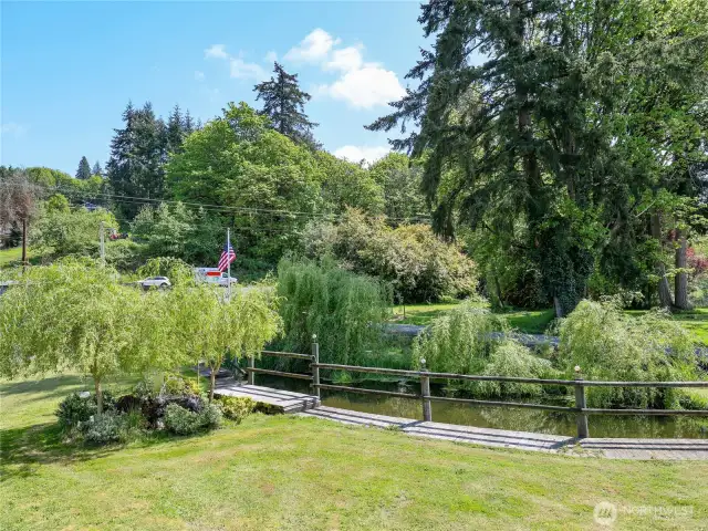 Pond with fountain controlled by remote control
