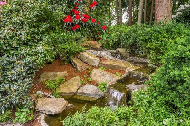 Extremely private, fully fenced Arboretum-style backyard, with wonderful water feature, looking out to wooded Nickel Creek Park.