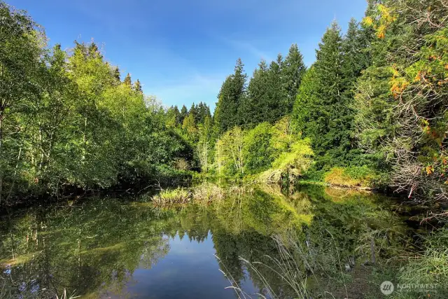 Winslow is adjacent to Mill Creek's Nickel Creek Park, with sport court and playground, and nature pathways to a forest-surrounded pond.