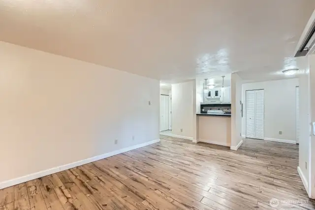 Living Room + Entrance + Kitchen Access