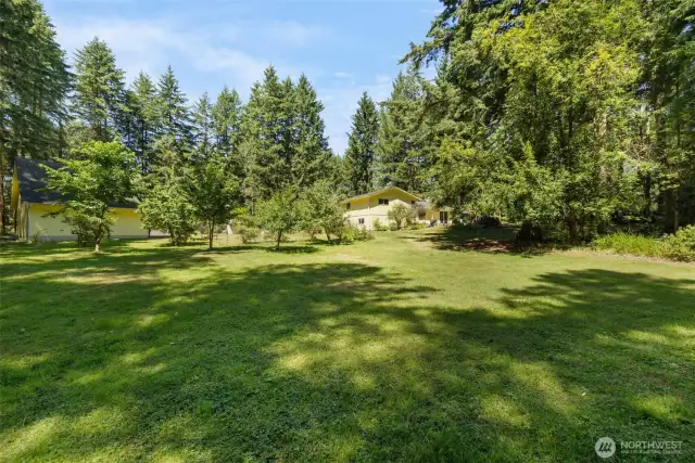 A backyard that delivers: lush lawn, established fruit trees, and the open sky above. This is the good kind of wide open.