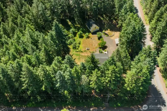 Framed by forest and open sky, this property offers the best of both worlds: seclusion and usable space.