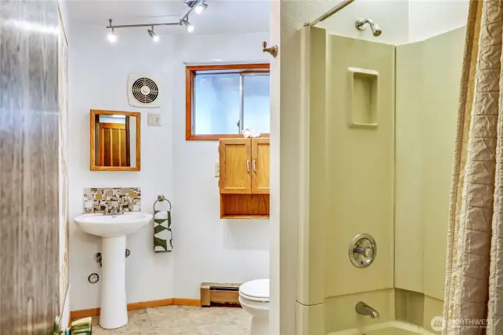 Lower level bathroom