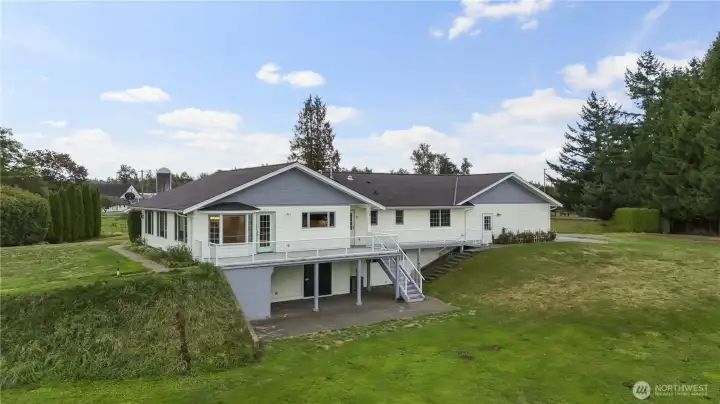 Rear view of house