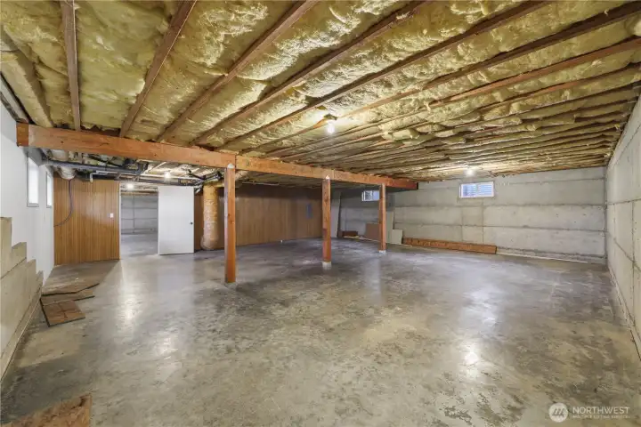 Unfinished basement area 2