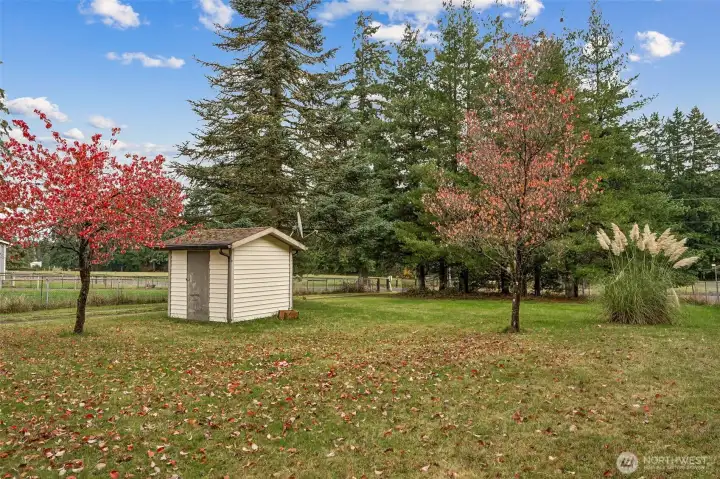 The front yard of the property looking toward Military road shows a pretty mix of tress, the pump house and loads of lawn for gardening or play.