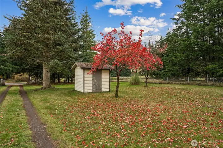 The pump house contains the well head and filtration systems.  Note all the open space that creates a buffer between the road and the home, and the privacy screen the fire trees create.