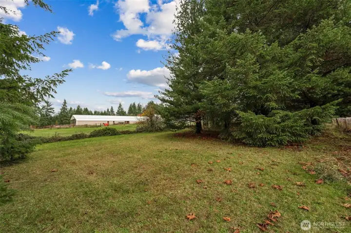 The clear portion of the acres includes some pasture and provides a route to the RV shed.