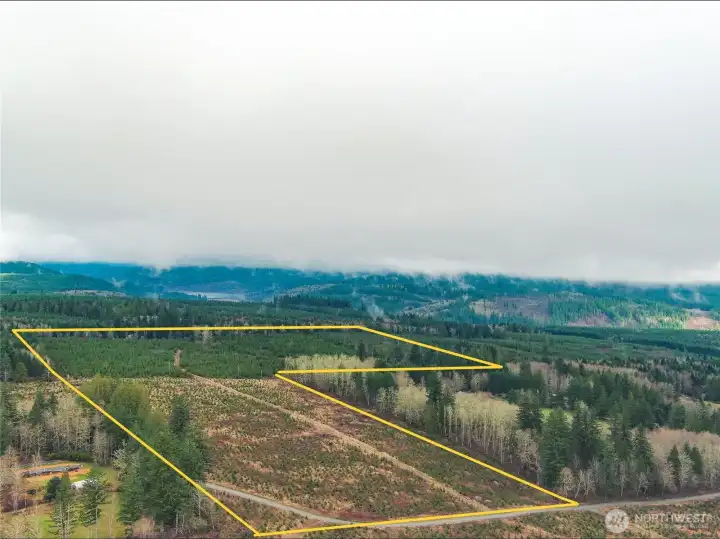 Virtually level site..  The view facing to the NE.