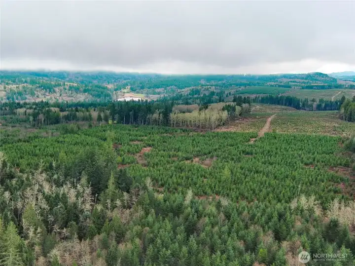 Lake Leland is just over the hill for year round fishing and boating. It has a 10 mph speed limit. Enjoy early morning solitude on the largest lake in Jefferson County.  Huge bass and plenty of trout are ready for the avid angler.