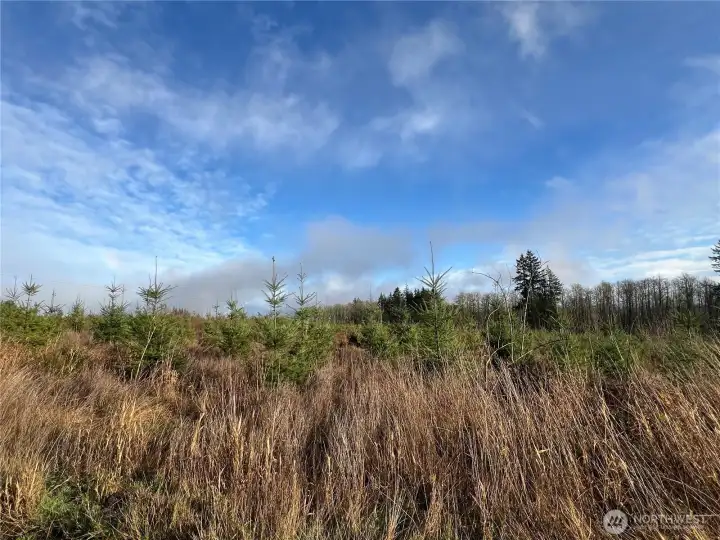 Located just 25 minutes to Port Townsend, 30 minutes to Sequim and 30 minutes to Poulsbo.