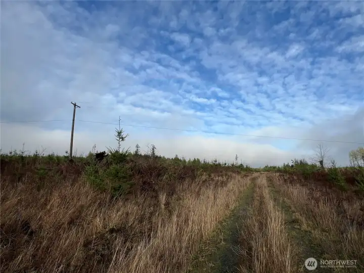 PUD power crosses the property on the South end.