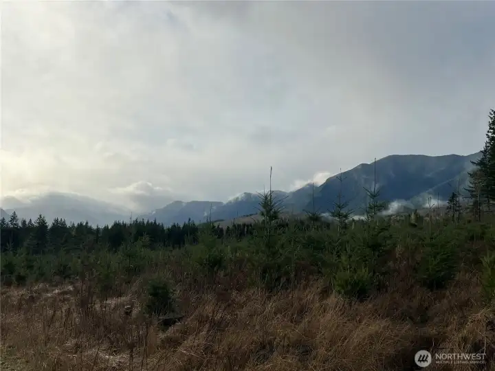 Views of Mt Walker to the South.