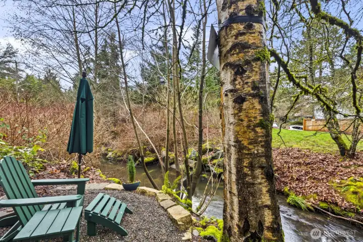 Outside, your private oasis in the city awaits! The seller worked with the King County  Conservation District to restore this area to a healthy and happy woodland area.