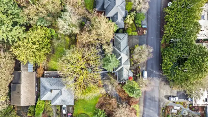 Aerial view of the lot!