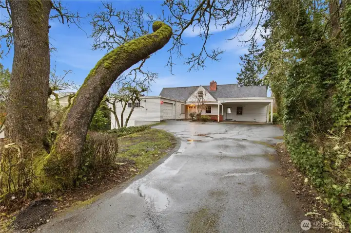 Main driveway to 4100 sq.ft. house