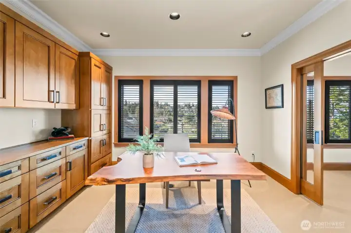 A dedicated sanctuary for focused work or creative contemplation. This light-filled office boasts a wall of bespoke cabinetry offering unparalleled storage, while the inspiring waterfront and neighborhood views provide a brilliant backdrop for a highly productive day.