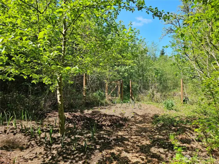 This property features a number of fruit trees including, apple, plumb and pair!