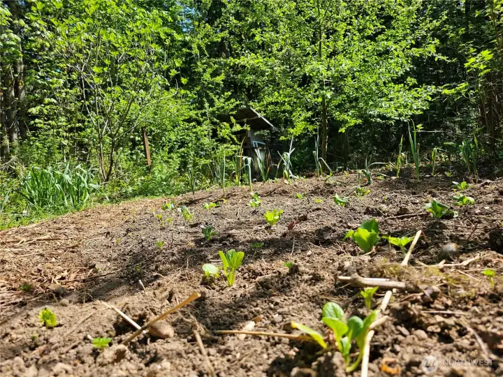 The gardens are planted.