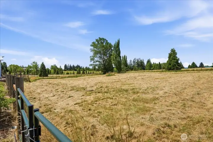 Pasture