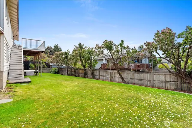 Back Yard