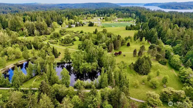 Literally only steps to the famous Battle Point Park with playing fields, a lake, playground, tennis courts, observatory, orchard and more!