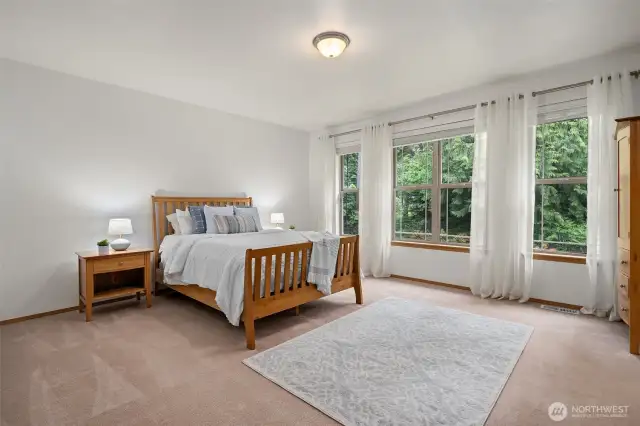Primary suite with wall of windows--lots of natural light.