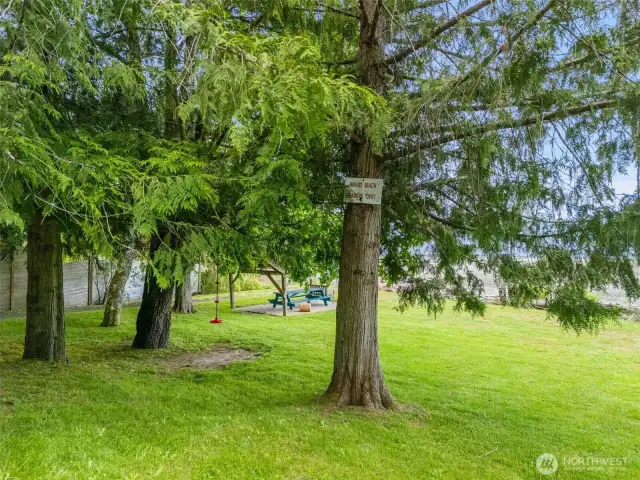 Community park.