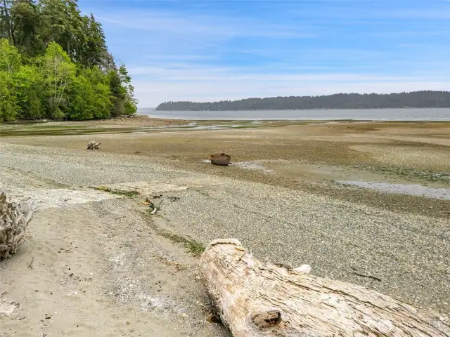 Community beach at low tide.