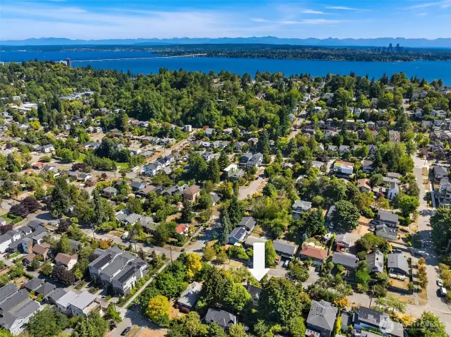 Quiet, convenient location near both Madison Valley and Madrona shopping and restaurants.