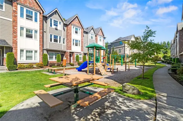 Community park.