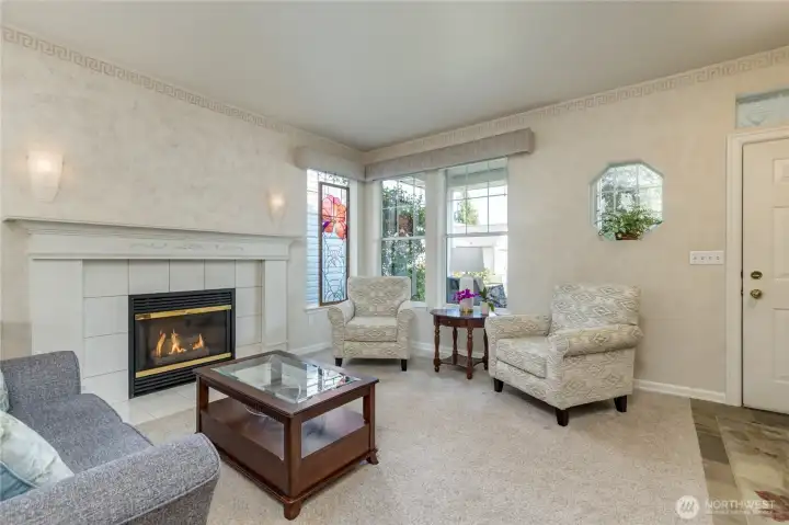 Cozy gas fireplace in the living room