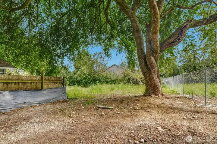 Future driveway easement to 523 Park St.