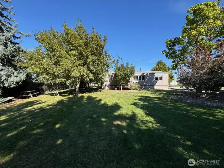 Mature Trees & Landscaping