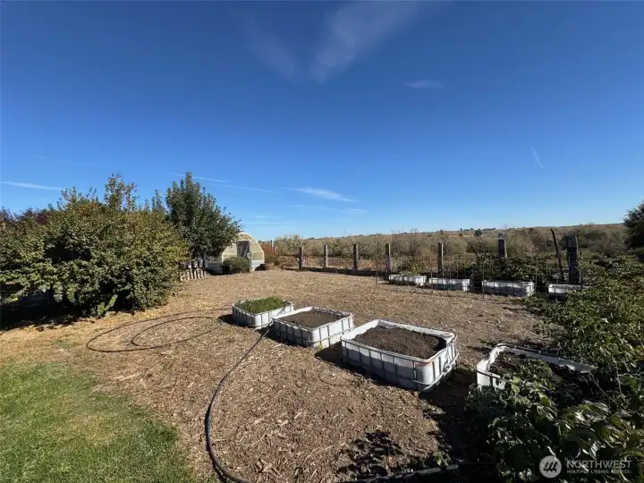 Garden area, green house, fruit trees