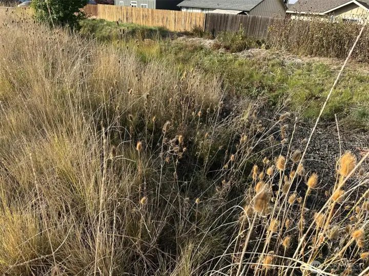 Drainage