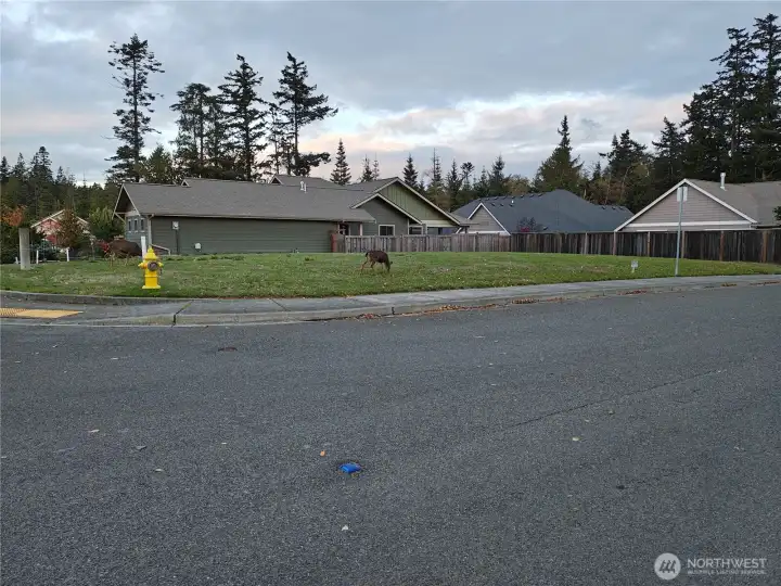 Looking from the South