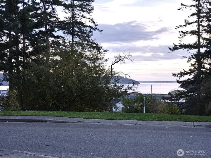 View across the road to Burrows Bay and beyond