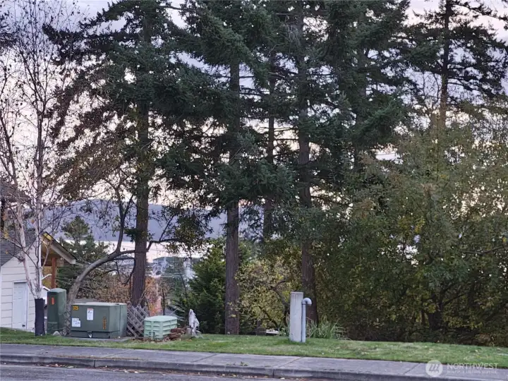 Another view through the trees