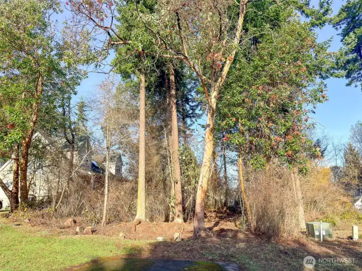 Surveyed and Corners Marked.  Transformer box on right on neighboring lot.