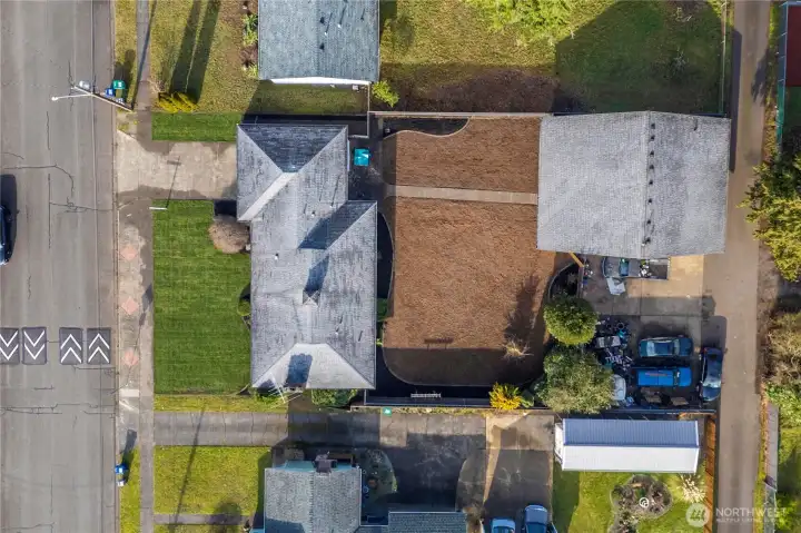 Let's take a look in the back yard