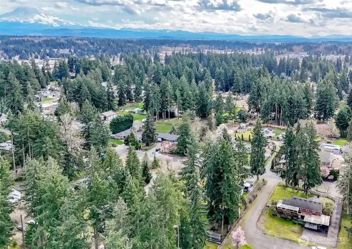 Such a beautiful established neighborhood!