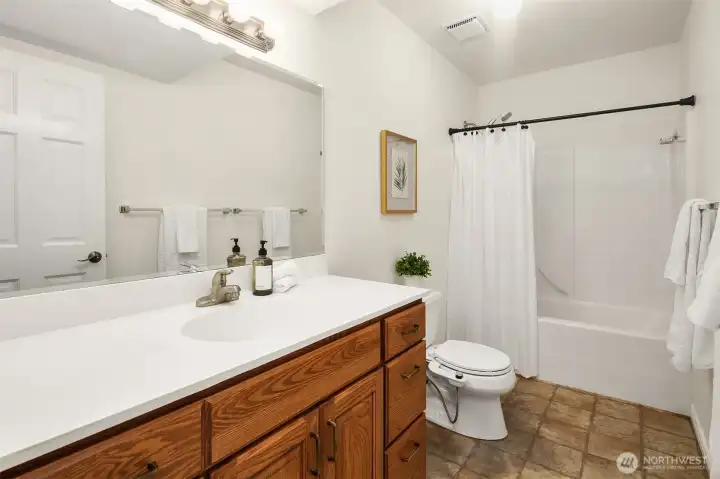 Downstairs guest bathroom