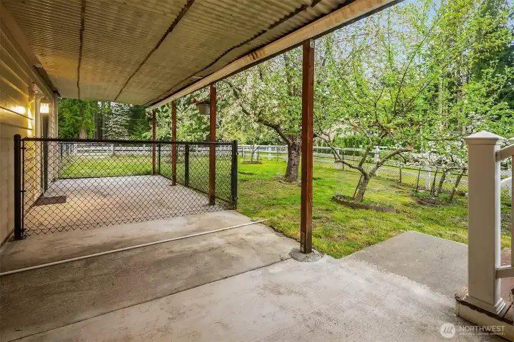 Covered patio from mudroom and stairs up to upper deck