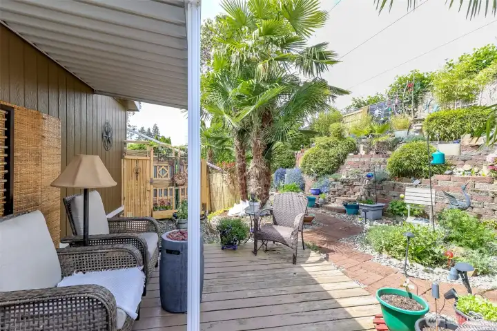 Live like you are on vacation- backyard paradise